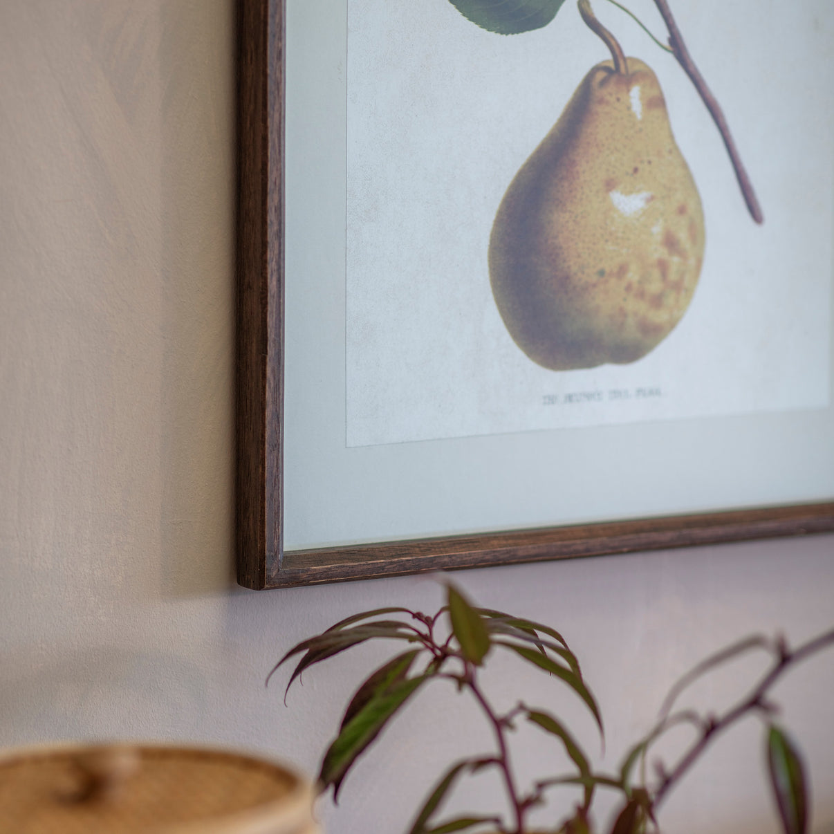 Set of 4 Pear Framed Prints