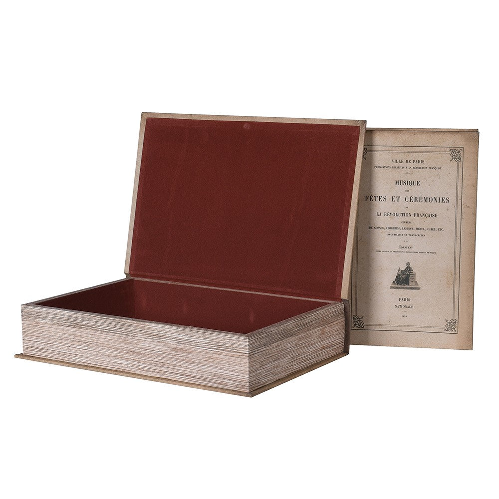 Set of 2 Antique Styling Book Boxes
