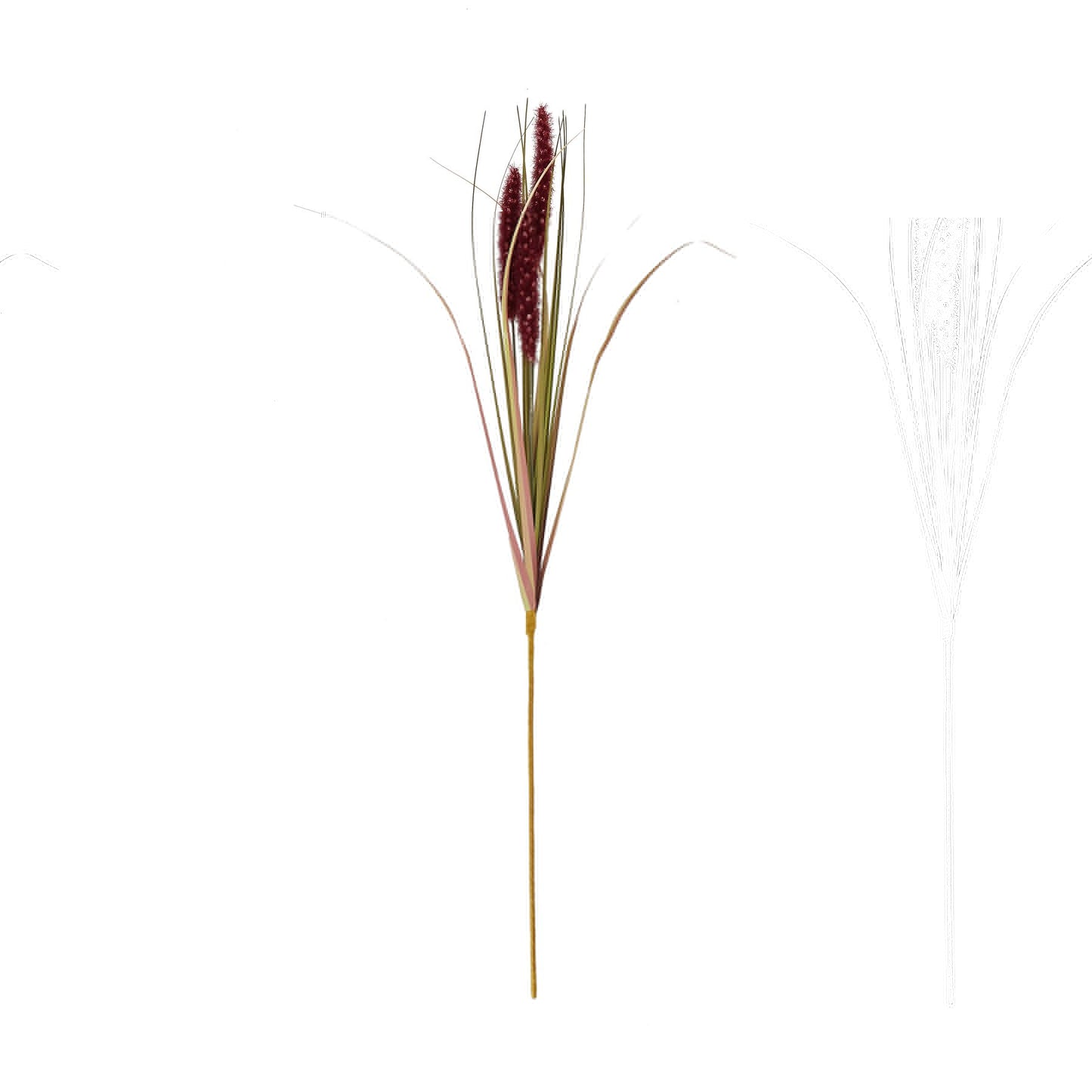 Triple Grass Stem