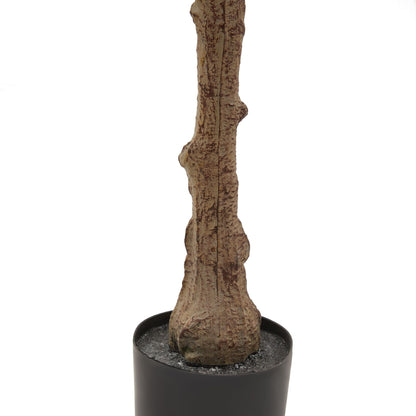 The Mediterranean Olive Tree Bundle (Grey) Worth $250 Bundle Price $200