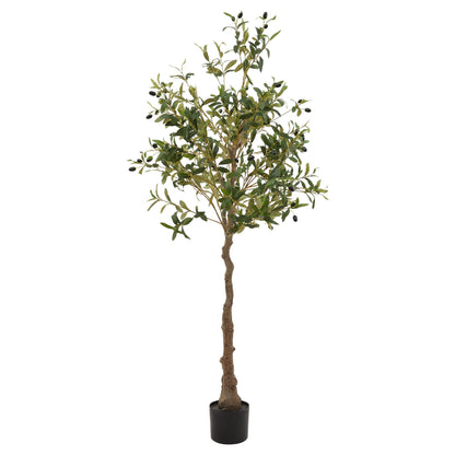 The Mediterranean Olive Tree Bundle (Grey) Worth $250 Bundle Price $200