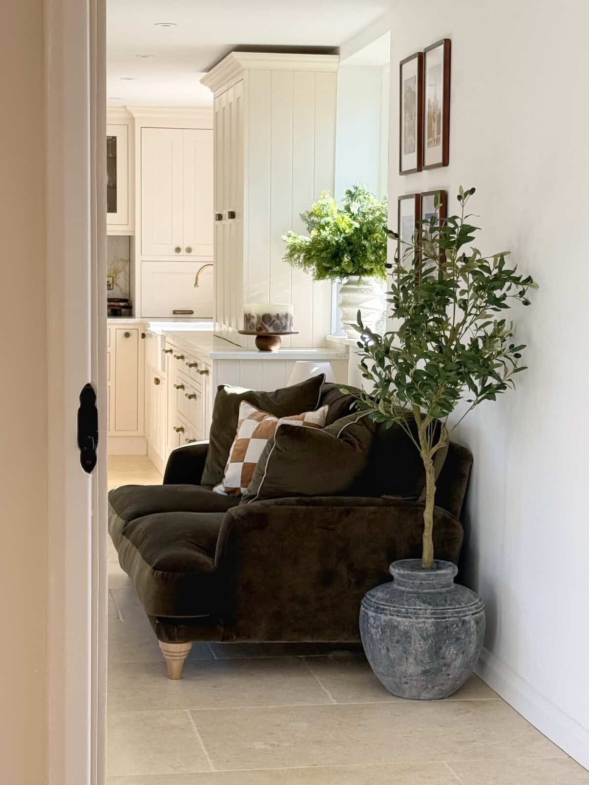 The Mediterranean Olive Tree Bundle (Grey) Worth $250 Bundle Price $200