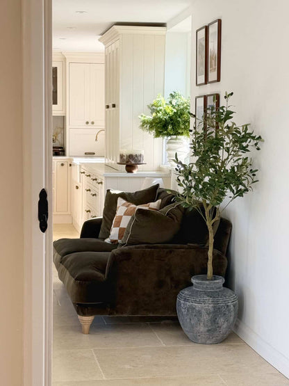 The Mediterranean Olive Tree Bundle (Grey) Worth $250 Bundle Price $200