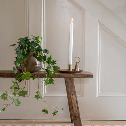 Antique brass bow candle holder with white taper candles
Vintage style brass candle holder gift set in linen bag
Iron candle holder with bow detail and slender white candles
Antique brass candle holder for mantel and table styling
Decorative brass candle holder with rustic patina finish
Classic bow candle holder with six white candles
Elegant antique brass candle holder for home decor
Small brass candle holder styled on a shelf or dining table