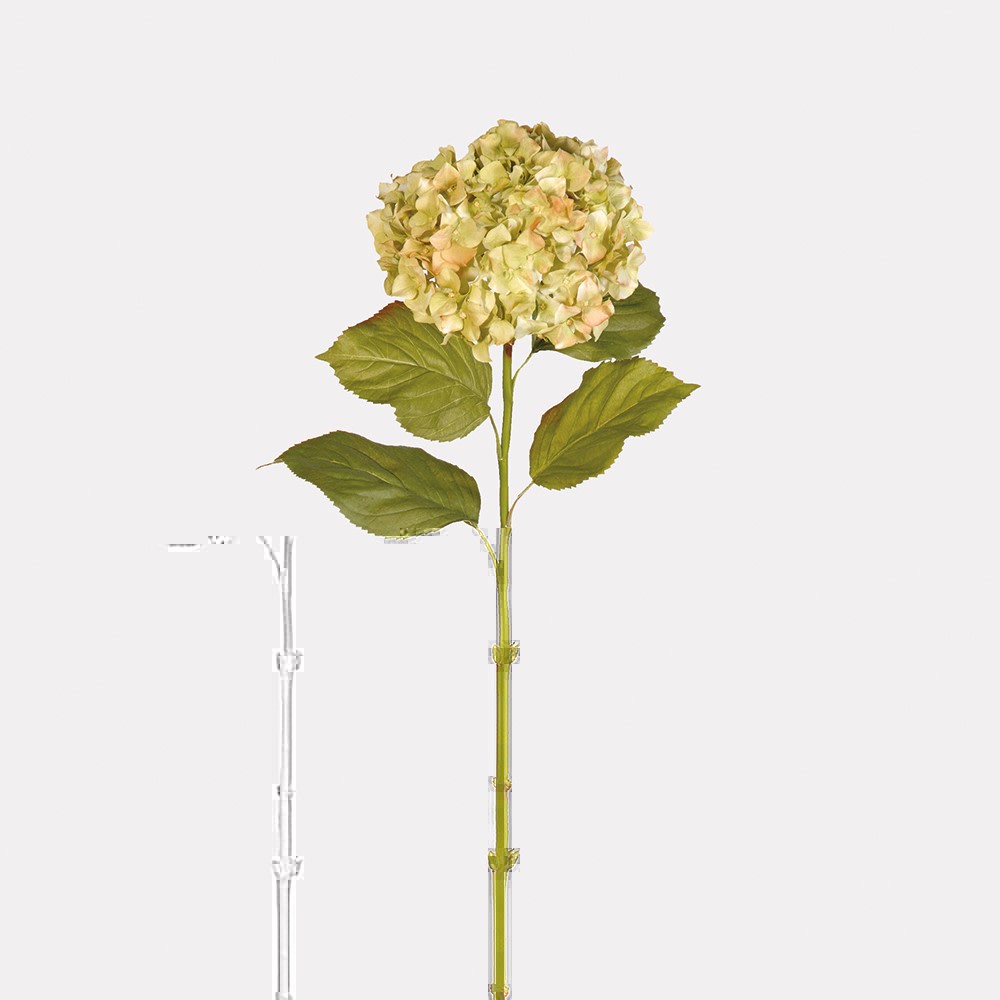 Real Touch Pistachio Hydrangea