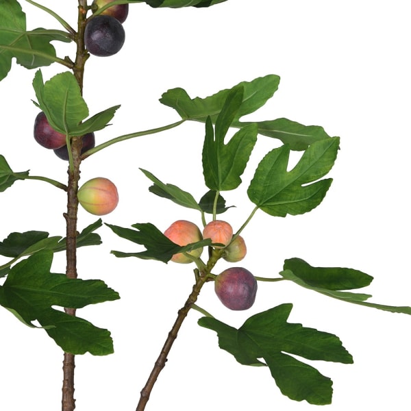 Artificial Fig Tree in Terracotta Pot