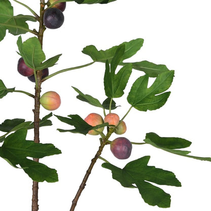 Artificial Fig Tree in Terracotta Pot
