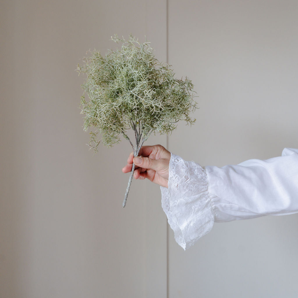 Hand holding a small bouquet of greenery against a plain background
