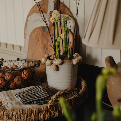 Decorative setting with a potted plant, basket of eggs, and lamp in a home interior.