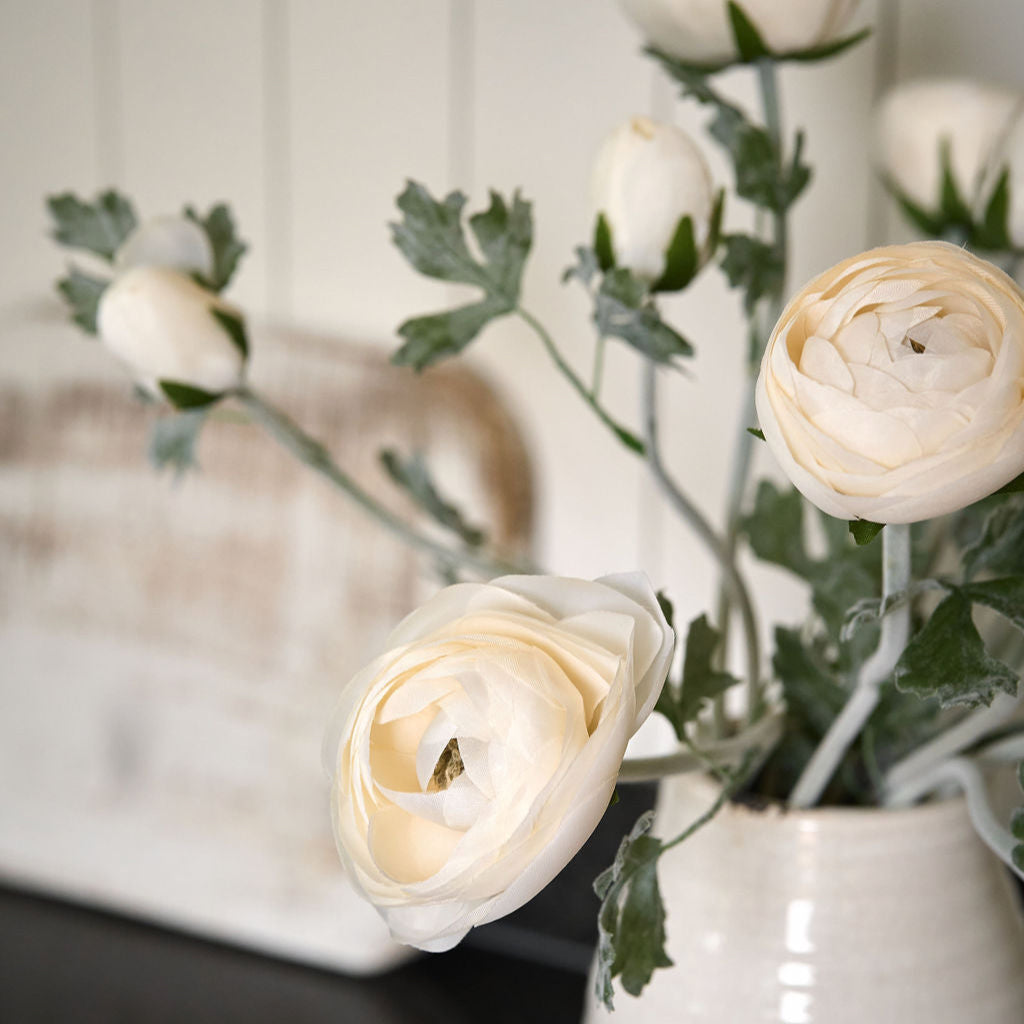 Soft White Ranunculus